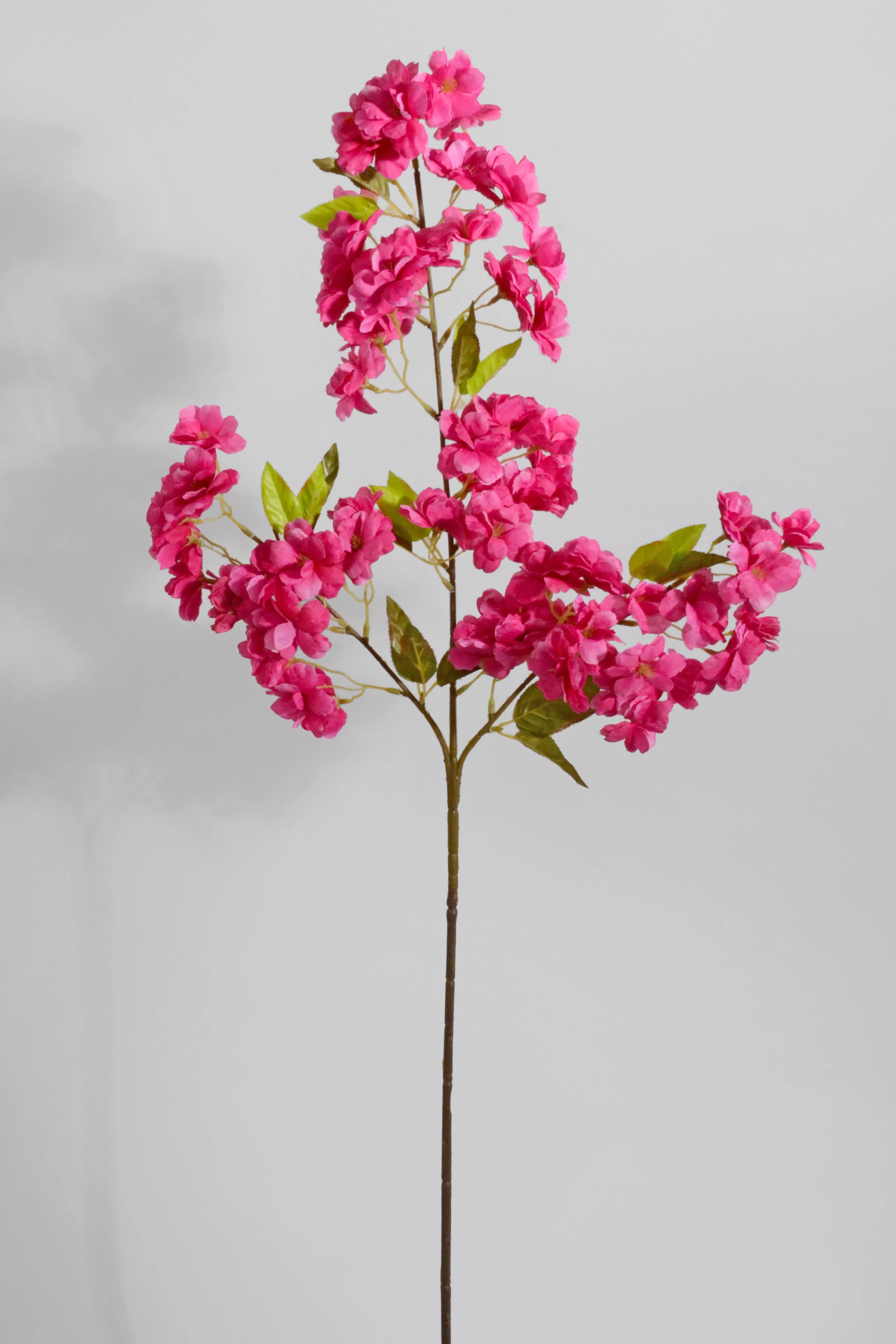 Popular Spring Items